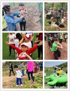 武昌有排名的家庭出游三大亮点你打卡了吗？