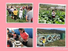 武昌有排名的家庭出游三大亮点你打卡了吗？