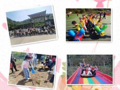 老油条司机经验总结武汉带娃出行三大必去路线竖起耳朵听