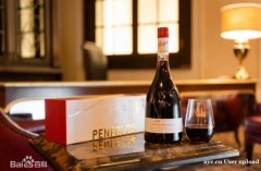 奔富红酒 进口葡萄酒 原装原瓶进口红酒供应