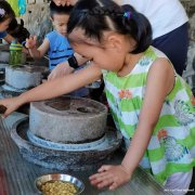 深圳田中园生态园活动基地内有大舞台体验亲子DIY