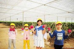 深圳田中园生态园活动基地内有大舞台体验亲子DIY