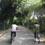 宝安凤凰山周边公司团建休闲户外野炊烧烤地方场地