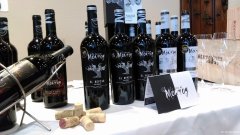 全国招商 西班牙百年酒庄“蒙洛伊”系列