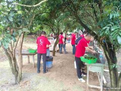 惠州适合公司团建的基地