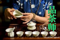 你没见过的茶，他都品过啦，广州品茶师（评茶员）证书