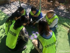 深圳宝安区公司团建一日游户外游