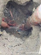东莞埋地水管漏水检测   水管维修安装