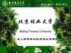 北京林业大学成人高考教育大专本科函授学历报名简章