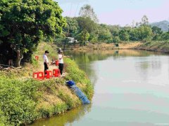 惠州户外大型拓展基地推荐果盛生态园