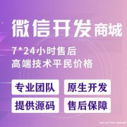 广州全域渠道引流获客系统，社群团购模式，微商城搭建运营