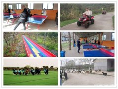 活动通知已出武汉公司团建拓展秋季爆火路线有你想要的