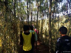 汉口幼儿园亲子游已在筹备中抓紧时间报道吧让孩子快乐起来