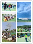 武汉周边亲子游太无趣那是你不清楚门道乐农农家乐给你一个惊喜