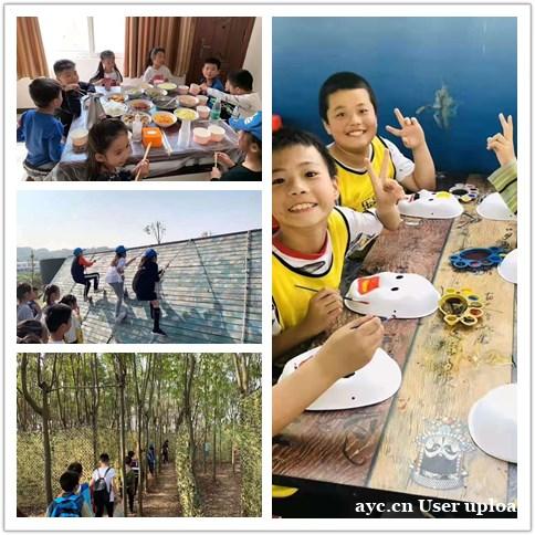 热心网友说蔡甸秋季学生一日游就想去这个地方有惊喜好选择 热心网友说蔡甸秋季学生一日游就想去这个地方有惊喜好选择