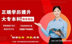 自学考试简单工程管理类专业自考升本科招生好考毕业快