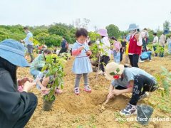 2023年惠州学校组织植树春游去哪好玩？
