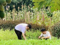 惠州农家乐夏季团队拓展的好地方推荐