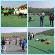 踏青体验，武汉团队出游千万要去的宝藏地配套设施齐全