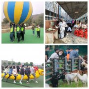 精品帖子带大家深入了解武汉公司员工团建那不寻常的秘密