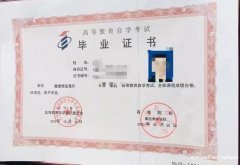 鲁迅美术学院助学自考本科视觉传达设计专业报考简章