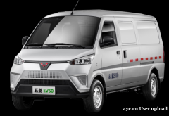 广州出售五菱EV50货运车