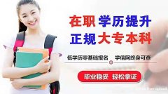 北京成人高考学历本科土木工程 环境工程专业招生