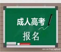 成人高考北京林业大学大专本科招生国家承认学历