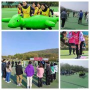 口碑好的武汉拓展直营地玩法新颖设施齐全氛围感十足