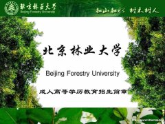 北京林业大学成人高考教育大专本科函数学历招生简章
