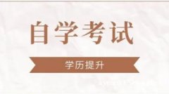 中国传媒大学自考数字媒体艺术本科学历招生简章