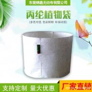 东莞锦鑫 无纺布挂墙壁阳台植树物袋 环保耐用 厂家直销