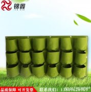 东莞锦鑫  无纺布挂墙壁阳台植树物袋  环保耐用 厂家直销