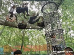 连云港站  正析思维训练营 给孩子最好的财富