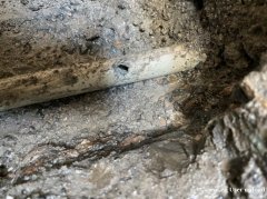 广州专业房屋渗漏水检测，公寓自来水管探测漏水点