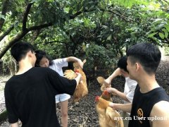 惠州户外野炊团建之旅，近距离拥抱自然