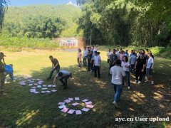 在惠州何组织成功的团体活动的一些建议