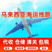 广州递必易马来西亚空运专线