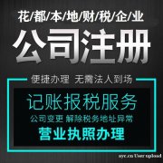 拓南财务代理（广州）·0元注册公司记账报税公司注册提供内资公