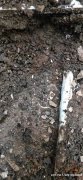 广州生活水管漏水探测维修，家庭暗管渗水查漏