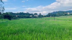 果盛生态园，感受大自然的团建奇妙之旅