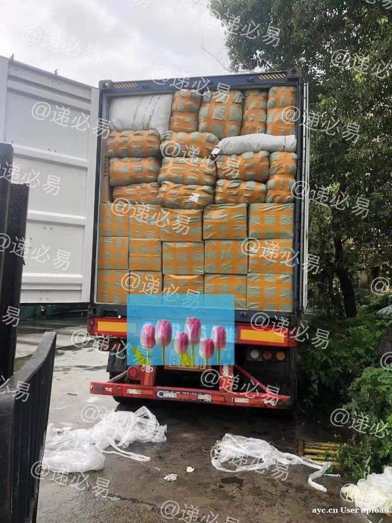 马来西亚货代 马来西亚货代