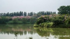 探寻佛山小农街的篝火之夜