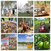 拍出网红照片，留下美好回忆！佛山小农街生态园等您来打卡！