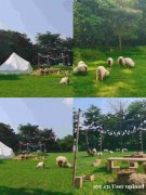 南水北调：挑战团队配合能力的水传输游戏！