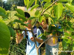 惠州周边亲子游果盛生态园一日游就是个不错的选择