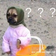 海运整柜的柜型以及对应的数据