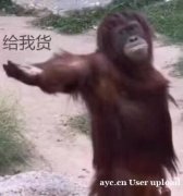 外贸必备常用英语1