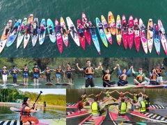 佛山容桂街道振华周边水果采摘