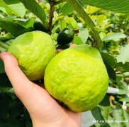 佛山沙头周边团建拓展培训